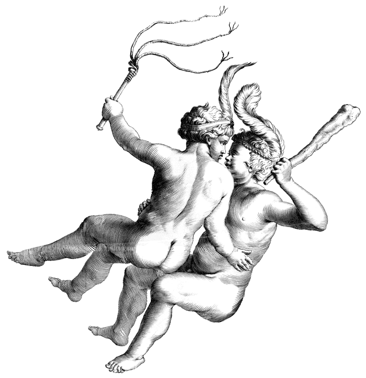 Pollux Icon
