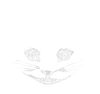 Minimal cat face