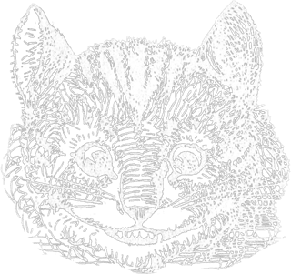 Detailed cat face
